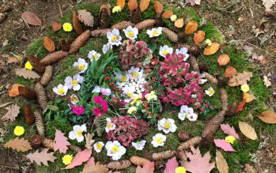 Kunst im Wald