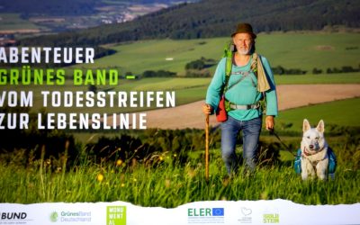 Projekttage an der Kemmlerschule